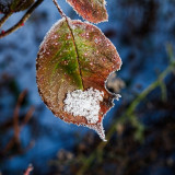 VG_850_1254_on1-2000