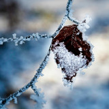 VG_850_1367_on1-2000