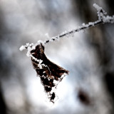 VG_850_1399_on1-2000