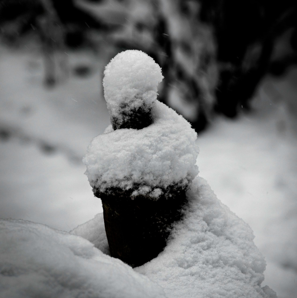 VG_850_207_24-01-2021_on1-2000.jpg