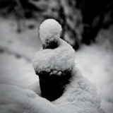 VG_850_207_24-01-2021_on1-2000