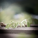VG_850_8873_on1-2000