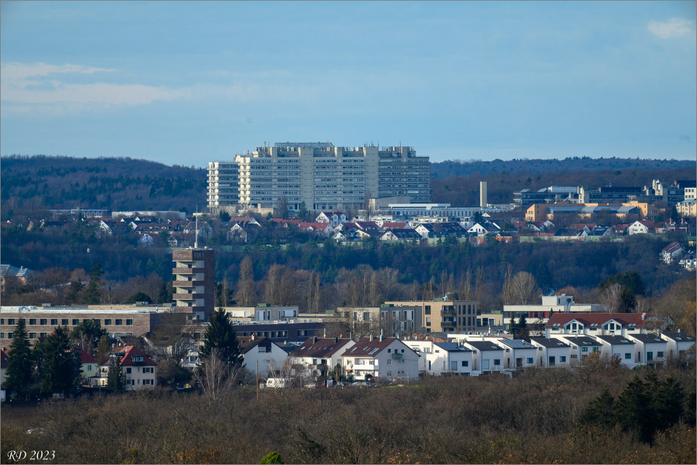 DZ7_1650-2.jpg