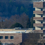 DZ7_1650