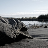 VG_850_0316_on1-2000