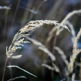 VG_850_9624_on1-2000