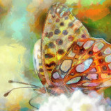 VG_500_2788_on1-2000_DAP_Aquarelle_Noveau