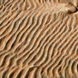 VG_850_1245_on1-2000_DAP_Modern_Art_1500