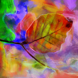 VG_850_0646_on1-2000_DAP_Modern_Art