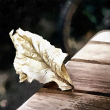 VG_850_9304_on1-2000_DAP_Acry-Real