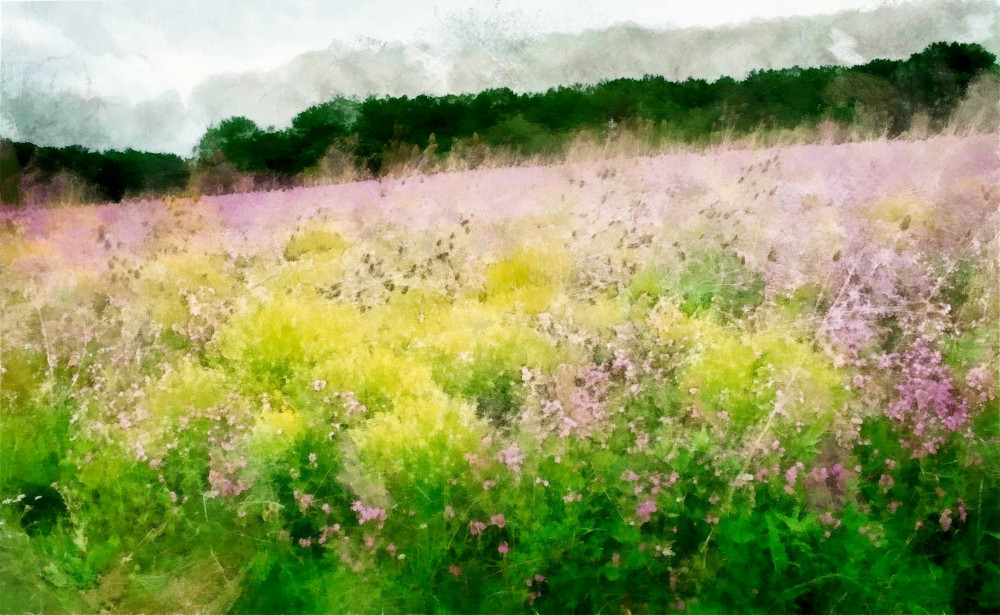 VGO_8515_on1-2000_DAP_Aquarell_TurnerAquarell_Turner_1_original.jpg