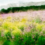 VGO_8515_on1-2000_DAP_Aquarell_TurnerAquarell_Turner_1_original
