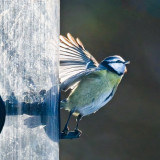 VG_500_8913_on1-2000