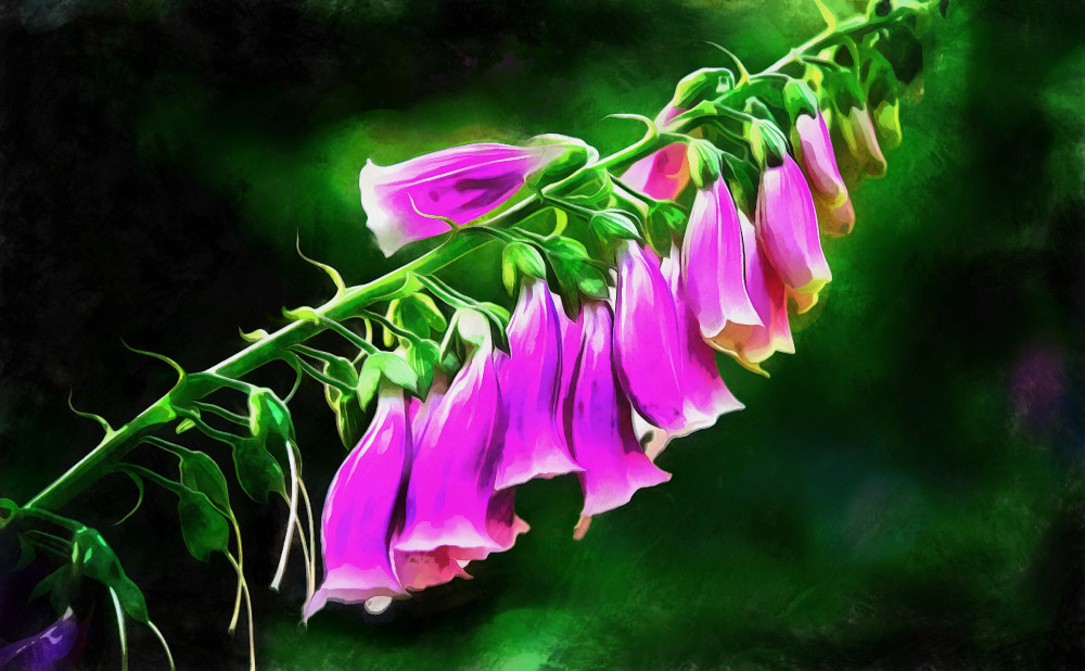 VG_850_7633_on1-2000_DAP_Acry-Real_-_Borders.jpg