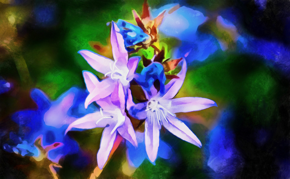 VG_850_7685_on1-2000_DAP_Acry-Real_-_Borders.jpg