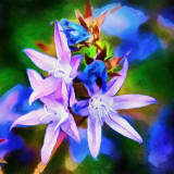 VG_850_7685_on1-2000_DAP_Acry-Real_-_Borders