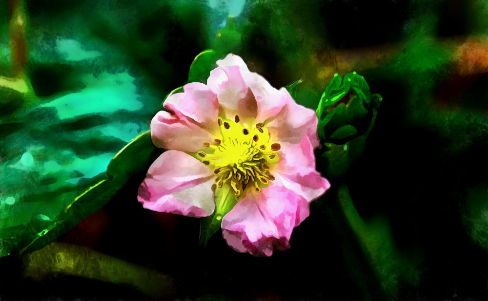 VG_850_8422_on1-2000_DAP_Acry-Real_-_Borders.jpg