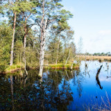 VG_500_4158_on1-2000