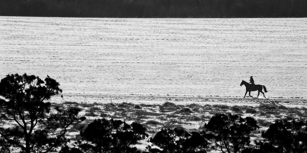 VGO_6953_on1-landscape_on1-2000.jpg