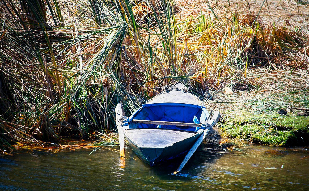 VG_500_1335_on1-2000.jpg