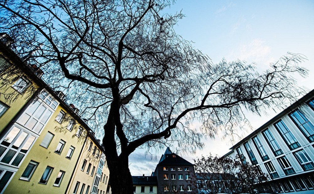 VG_850_1712_on1-2000.jpg