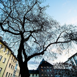 VG_850_1712_on1-2000
