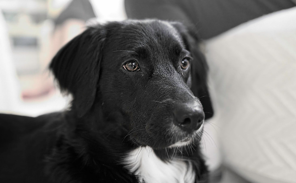 VG_500_5262_on1-2000.jpg