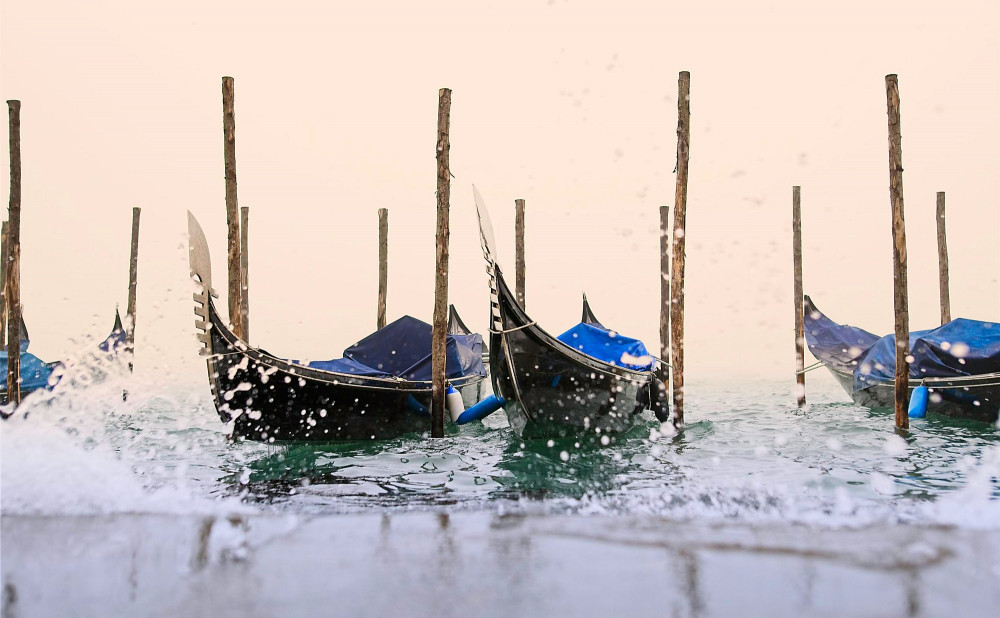VG_500_4055_on1-2000.jpg
