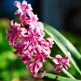 VG_850_3981_on1-2000