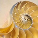 VG_500_8934_on1-2000