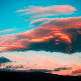 VG_850_4076_on1-2000