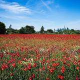 VG_850_6713_on1-2000
