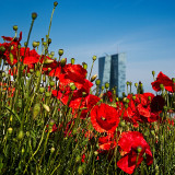 VG_850_6732_on1-2000