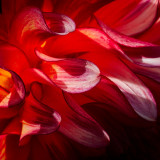 VG_500_6085_on1-2000