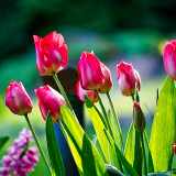 VG_500_5407_on1-2000
