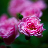 VG_850_7627_on1-2000