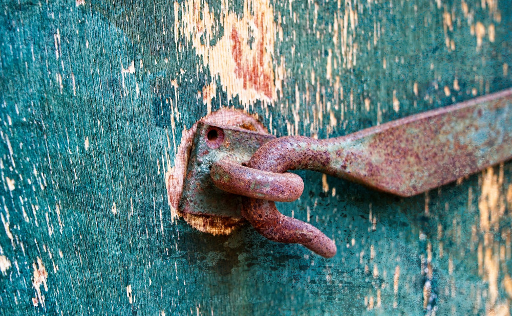 VG_500_3872_on1-2000.jpg
