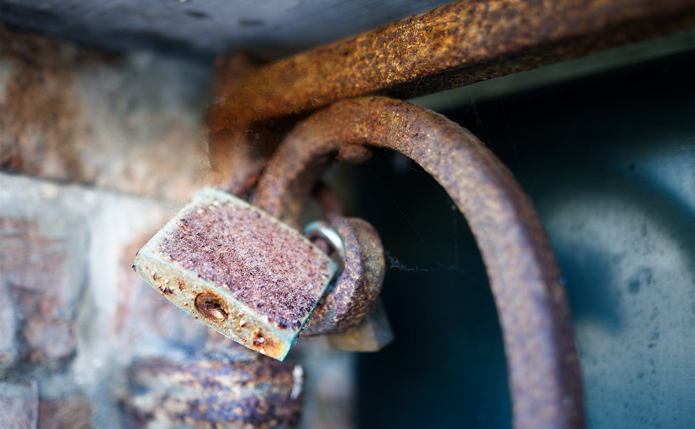VG_500_4677_on1-2000.jpg