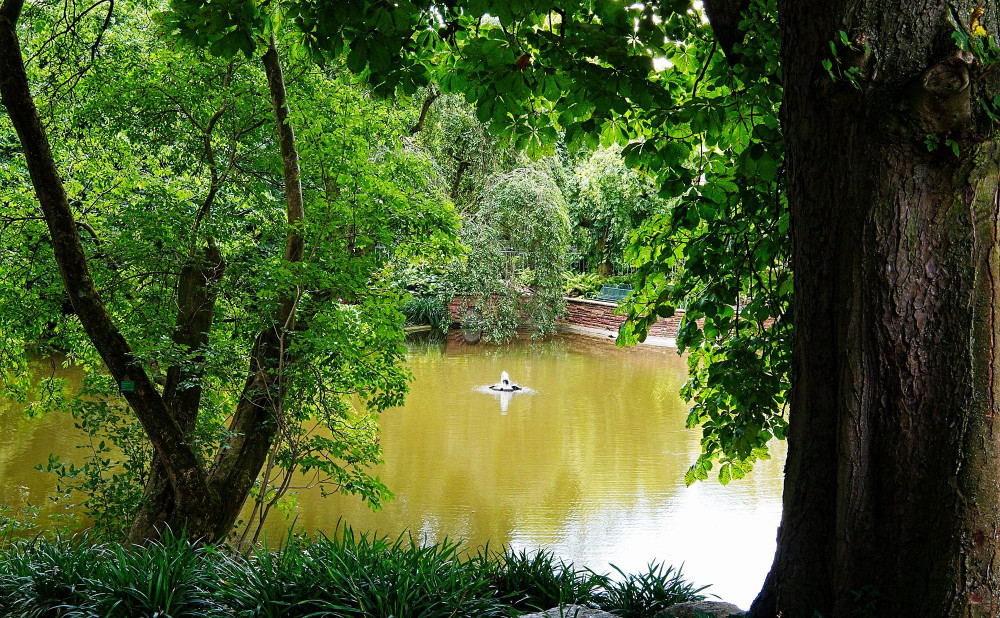VG_850_4061_on1-2000.jpg