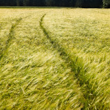 VG_850_3735_on1-2000