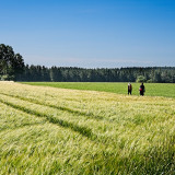 VG_850_3736_on1-2000