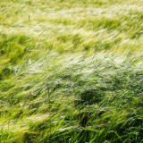 VG_850_3740_on1-2000
