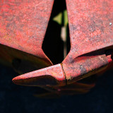 VG_850_7414_on1-2000