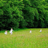 VGO_8652_on1-2000