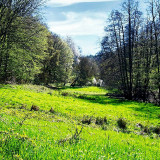 VG_500_8592_on1-2000
