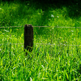 VG_850_6462_on1-2000