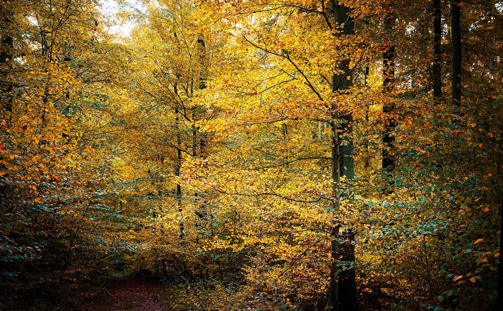 VG_850_0063_on1-2000.jpg