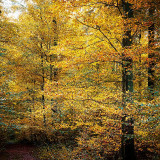 VG_850_0063_on1-2000