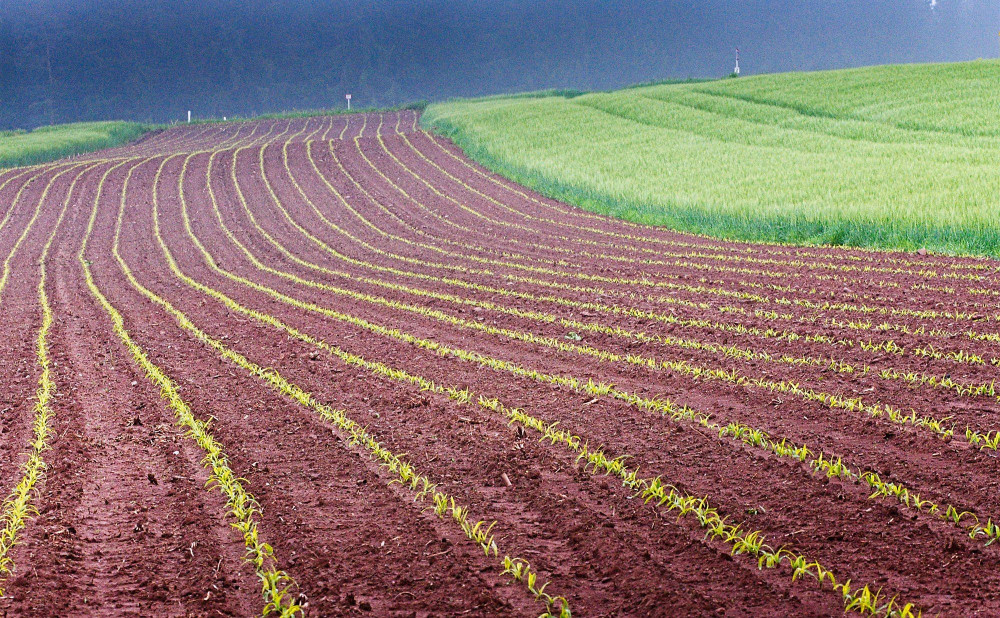 VG_850_2299_on1-2000.jpg