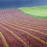 VG_850_2299_on1-2000